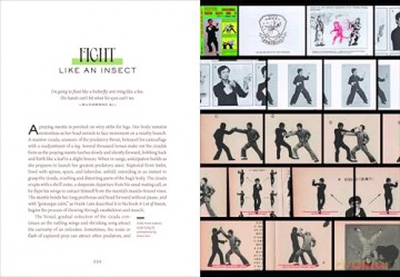 The Insect Epiphany: How Our Six-Legged Allies Shape Human Culture - Barrett Klein [KSIĄŻKA]