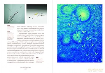 The Insect Epiphany: How Our Six-Legged Allies Shape Human Culture - Barrett Klein [KSIĄŻKA]