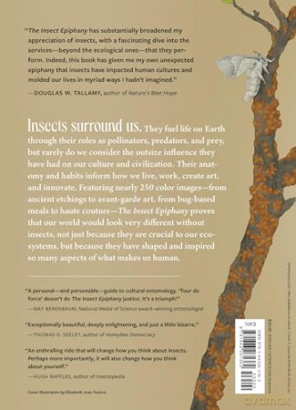The Insect Epiphany: How Our Six-Legged Allies Shape Human Culture - Barrett Klein [KSIĄŻKA]