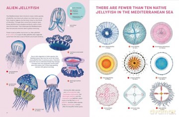 The Jellyfish Garden: Explore Their Curious World - Paola Vitale [KSIĄŻKA]