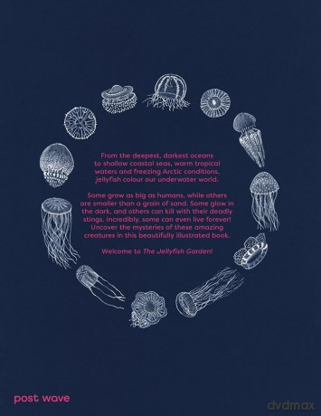 The Jellyfish Garden: Explore Their Curious World - Paola Vitale [KSIĄŻKA]
