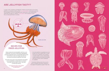 The Jellyfish Garden: Explore Their Curious World - Paola Vitale [KSIĄŻKA]