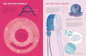 The Jellyfish Garden: Explore Their Curious World - Paola Vitale [KSIĄŻKA]