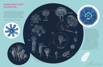 The Jellyfish Garden: Explore Their Curious World - Paola Vitale [KSIĄŻKA]