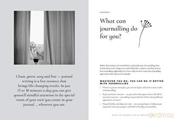 The Journal Writer's Companion: Achieve Your Goals - Express Your Creativity - Realize your Potential - Alyss Thomas [KSIĄŻKA]