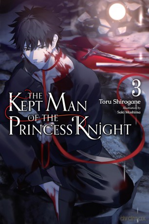 The Kept Man of the Princess Knight, Vol. 3: Volume 3 (KEPT MAN OF PRINCESS KNIGHT LIGHT NOVEL SC) - Toru Shirogane [KSIĄŻKA]
