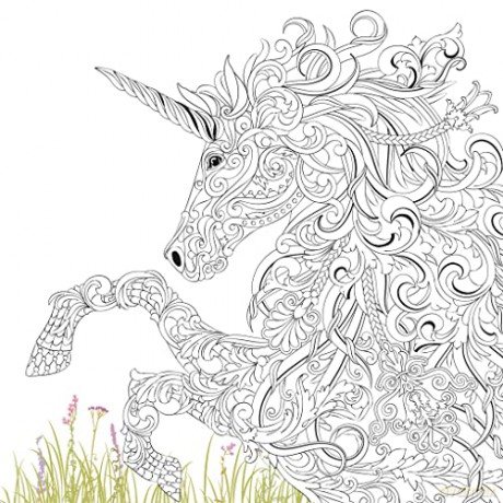 The Labyrinth: Mythical Beasts to Colour - Richard Merritt [KSIĄŻKA]