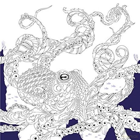 The Labyrinth: Mythical Beasts to Colour - Richard Merritt [KSIĄŻKA]