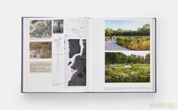 The Land Is Full: Nelson Byrd Woltz Landscape Architects - Bradford McKee [KSIĄŻKA]