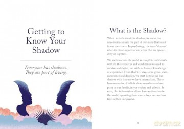 The Little Book of Shadow Work - Richard Martyn [KSIĄŻKA]