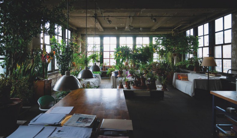 The Loft Law: The Last of New York City's Original Artist Lofts - Joshua Charow [KSIĄŻKA]