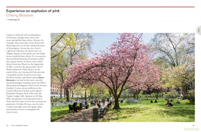 The London Year: What to Do and When - Yolanda Zappaterra [KSIĄŻKA]