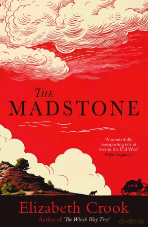 The Madstone - Elizabeth Crook [KSIĄŻKA]