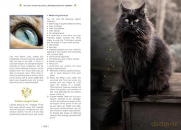 The Magick of Cats: The cat lover's guide to enchanted feline energy - Anne-Sophie Casper [KSIĄŻKA]
