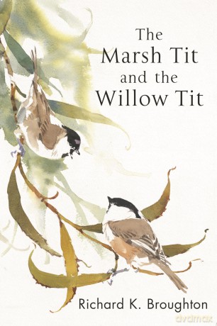 The Marsh Tit and The Willow Tit (Poyser Monographs) - Richard Broughton [KSIĄŻKA]