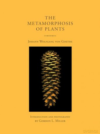 The Metamorphosis of Plants - Johann Wolfgang von Goethe [KSIĄŻKA]