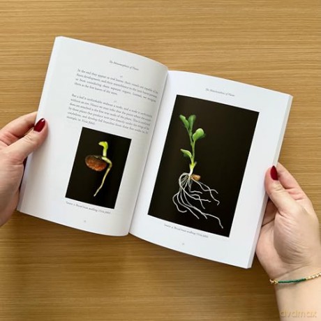 The Metamorphosis of Plants - Johann Wolfgang von Goethe [KSIĄŻKA]
