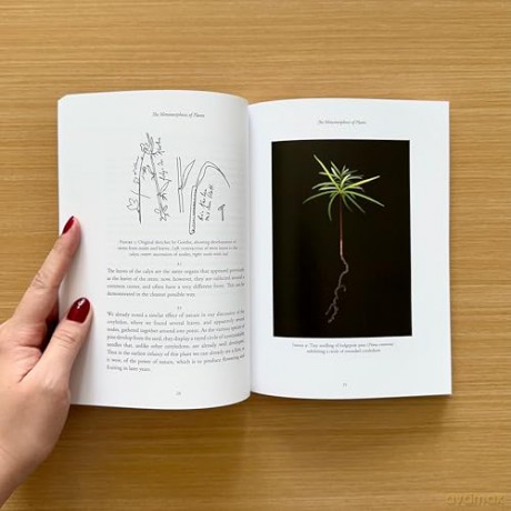 The Metamorphosis of Plants - Johann Wolfgang von Goethe [KSIĄŻKA]