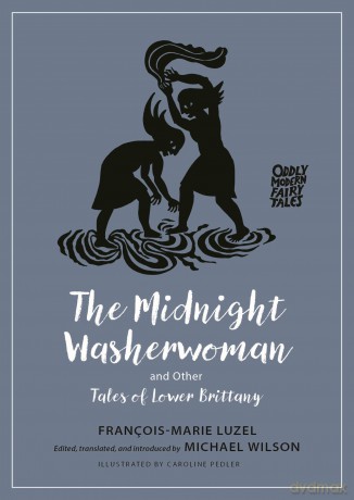 The Midnight Washerwoman and Other Tales of Lower Brittany: 28 (Oddly Modern Fairy Tales) - Francois-Marie Luzel [KSIĄŻKA]