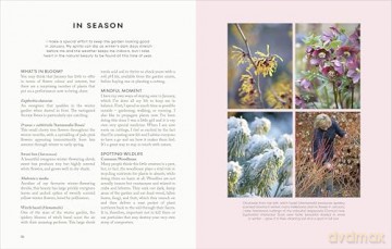 The Money-Saving Garden Year: The perfect Christmas gift for the gardener in your life - Anya Lautenbach [KSIĄŻKA]
