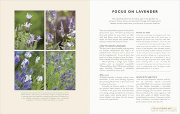 The Money-Saving Garden Year: The perfect Christmas gift for the gardener in your life - Anya Lautenbach [KSIĄŻKA]