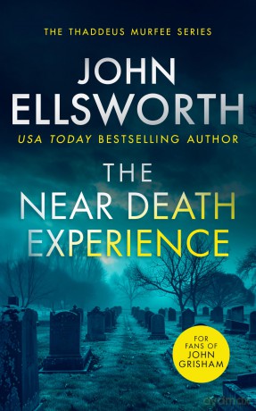 The Near Death Experience: A page-turning legal thriller (Thaddeus Murfee Legal Thrillers) - John Ellsworth [KSIĄŻKA]