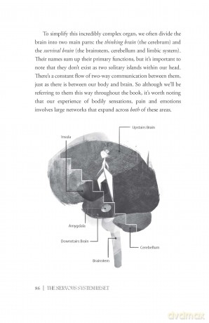 The Nervous System Reset: Unlock the power of your vagus nerve to overcome trauma, pain and chronic stress - Jessica Maguire [KSIĄŻKA]