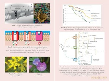 The Neuroscience of Psychedelics: The Pharmacology of What Makes Us Human - Genís Ona [KSIĄŻKA]