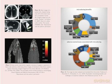 The Neuroscience of Psychedelics: The Pharmacology of What Makes Us Human - Genís Ona [KSIĄŻKA]