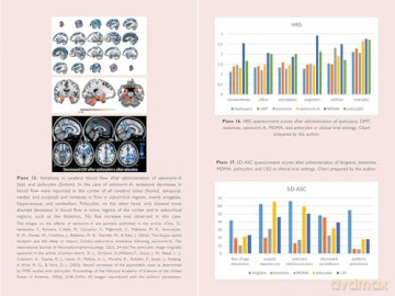 The Neuroscience of Psychedelics: The Pharmacology of What Makes Us Human - Genís Ona [KSIĄŻKA]