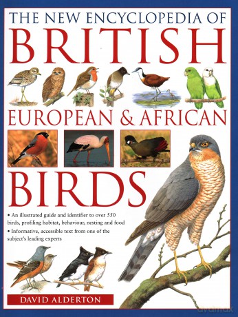 The New Encyclopedia of British, European and African Birds - David Alderton [KSIĄŻKA]