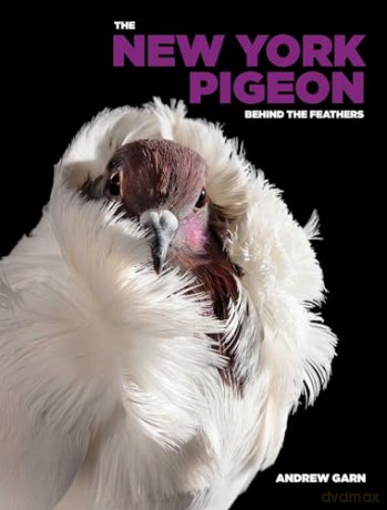 The New York Pigeon - Andrew Garn [KSIĄŻKA]