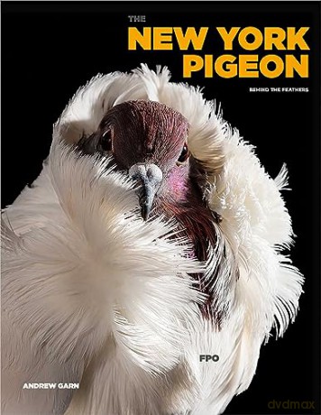 The New York Pigeon - Andrew Garn [KSIĄŻKA]