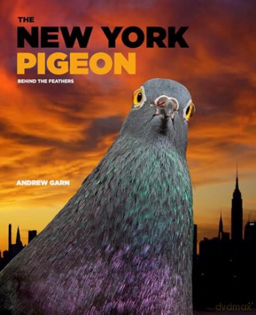 The New York Pigeon - Andrew Garn [KSIĄŻKA]