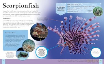 The Ocean Book: A Deep Dive into Our World's Oceans (Children's Discovery Library) - Claudia Martin [KSIĄŻKA]