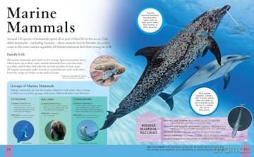 The Ocean Book: A Deep Dive into Our World's Oceans (Children's Discovery Library) - Claudia Martin [KSIĄŻKA]