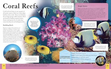 The Ocean Book: A Deep Dive into Our World's Oceans (Children's Discovery Library) - Claudia Martin [KSIĄŻKA]