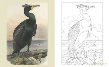 The Ocean World Colouring Book: Reveal the Beauty of the Seas (Arcturus Classic Nature Colouring) - Diego Vaisberg [KSIĄŻKA]