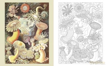The Ocean World Colouring Book: Reveal the Beauty of the Seas (Arcturus Classic Nature Colouring) - Diego Vaisberg [KSIĄŻKA]