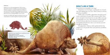 The Oddball Book of Armadillos - Elizabeth Shreeve [KSIĄŻKA]