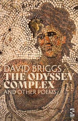 The Odyssey Complex: 'Inventive, witty and playful, profoundly musical, and robustly and beautifully made' (Salt Modern Poets) - Mr David Briggs [KSIĄŻKA]
