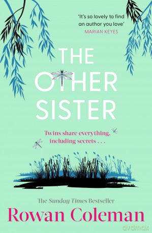 The Other Sister: A moving novel about reconnecting with your true self from the Sunday Times bestselling author - Rowan Coleman [KSIĄŻKA]