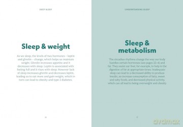 The Pocket Deep Sleep: Maximize your most restorative sleep cycle (Pocket Books) - Gemini Books [KSIĄŻKA]