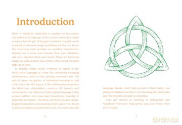 The Pocket Irish English (Pocket Books) - Gemini Books [KSIĄŻKA]