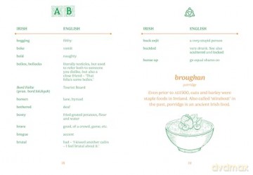 The Pocket Irish English (Pocket Books) - Gemini Books [KSIĄŻKA]