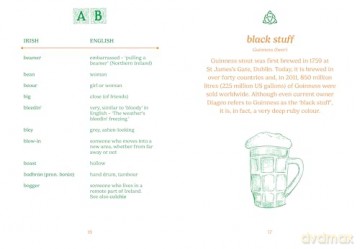 The Pocket Irish English (Pocket Books) - Gemini Books [KSIĄŻKA]
