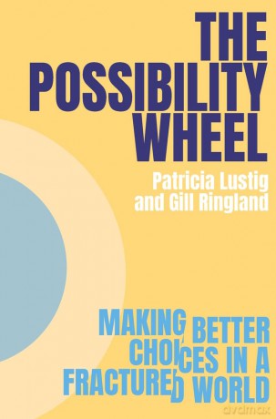The Possibility Wheel: Making better choices in a fractured world - Patricia Lustig [KSIĄŻKA]