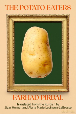 The Potato Eaters: Stories - Farhad Pirbal [KSIĄŻKA]