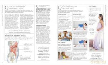 The Pregnancy Encyclopedia: All Your Questions Answered [KSIĄŻKA]