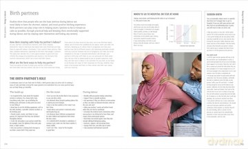 The Pregnancy Encyclopedia: All Your Questions Answered [KSIĄŻKA]